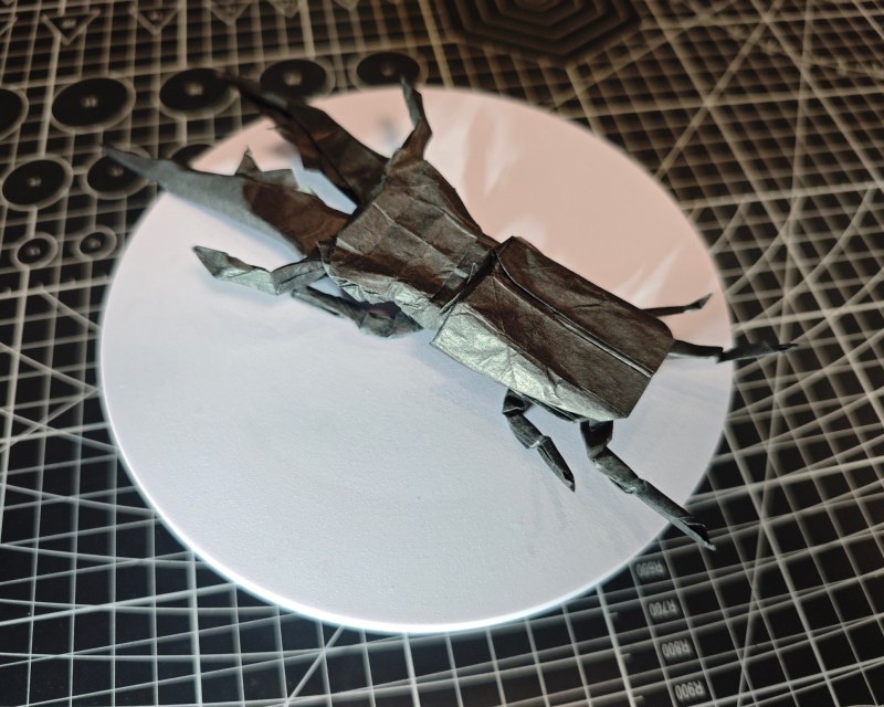 美他利佛细身赤锹甲